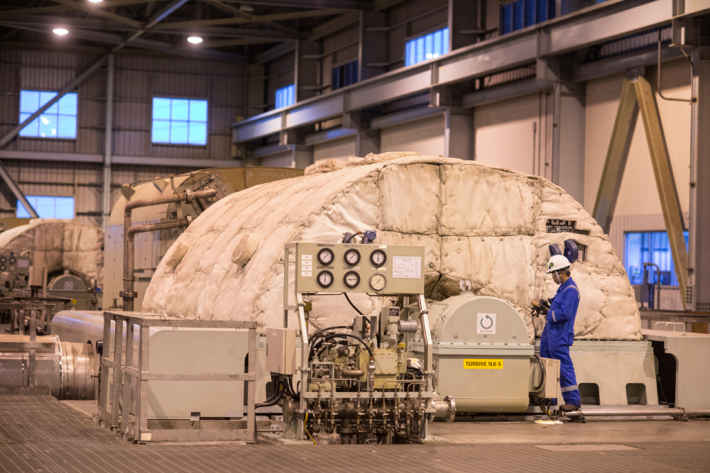 day15_chevron_salak_0056-(Edited)